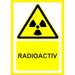 Placuta  pentru radioactiv